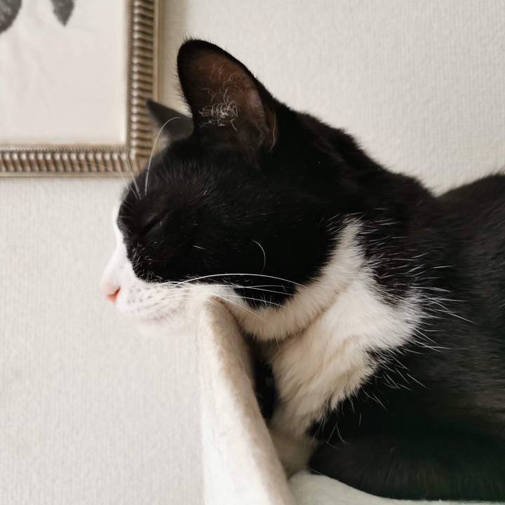 De43ec25 d057 4a2e b7b3 5e73e206cb5b 1679987108136