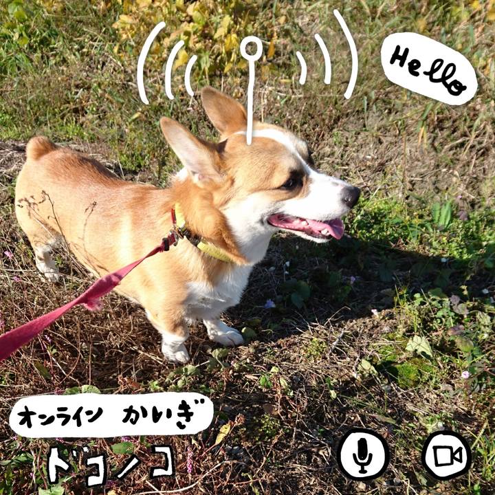 De442025 ed06 4719 8e3c b69e85d084de 1590719285022