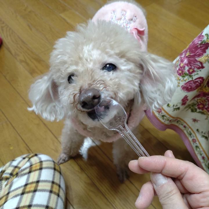 De443d64 9b09 41a0 b3d1 73dbaecfd50f 1771128679168