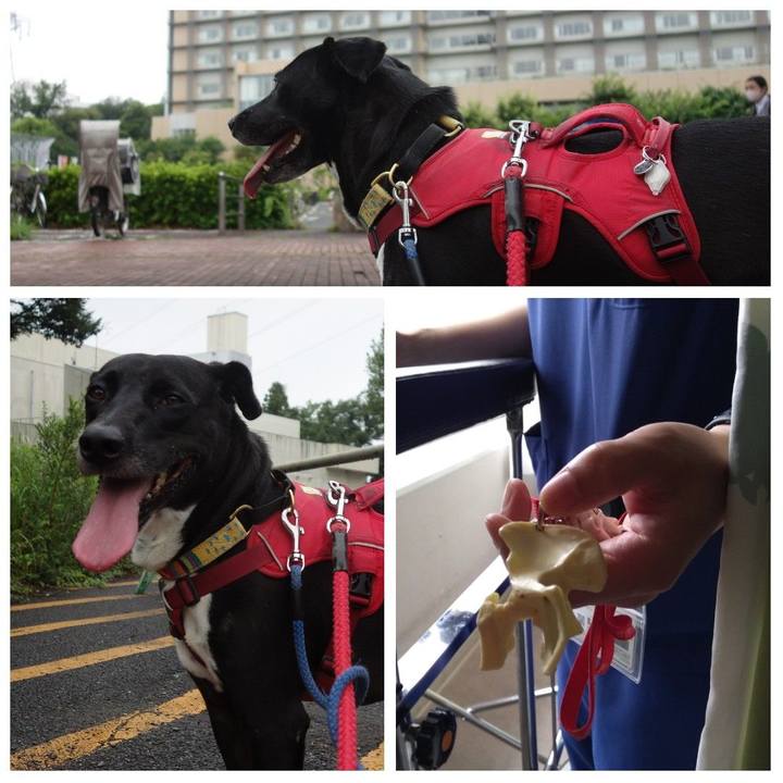 De4472a8 cb59 44fd 87d0 a840384ba07c 1624579593182