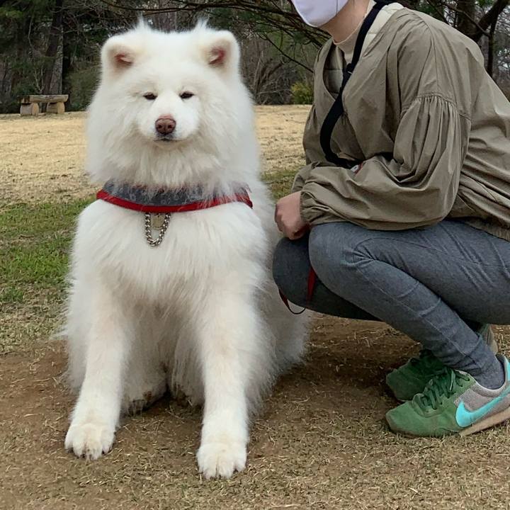 De4476d2 c91a 4ff7 ba96 55731f18d570 1616400100174