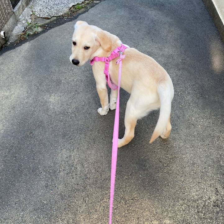 De448d0d 062b 403c 8713 af386f5b4642 1614821072028