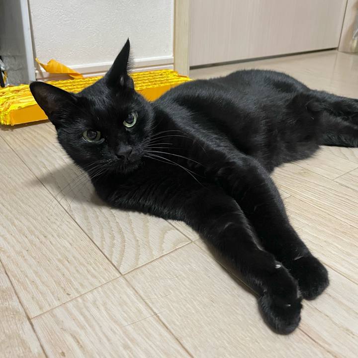 De44db2c 1d89 41e6 ae6a e65a64162a5d 1733314584151