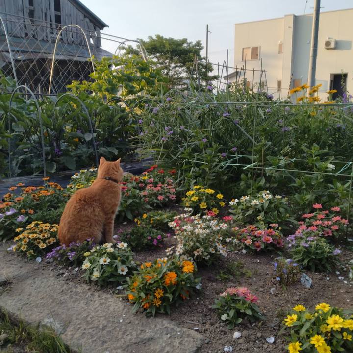 De450b0c e415 4a48 9ca1 9c2ae6239801 1719008043358