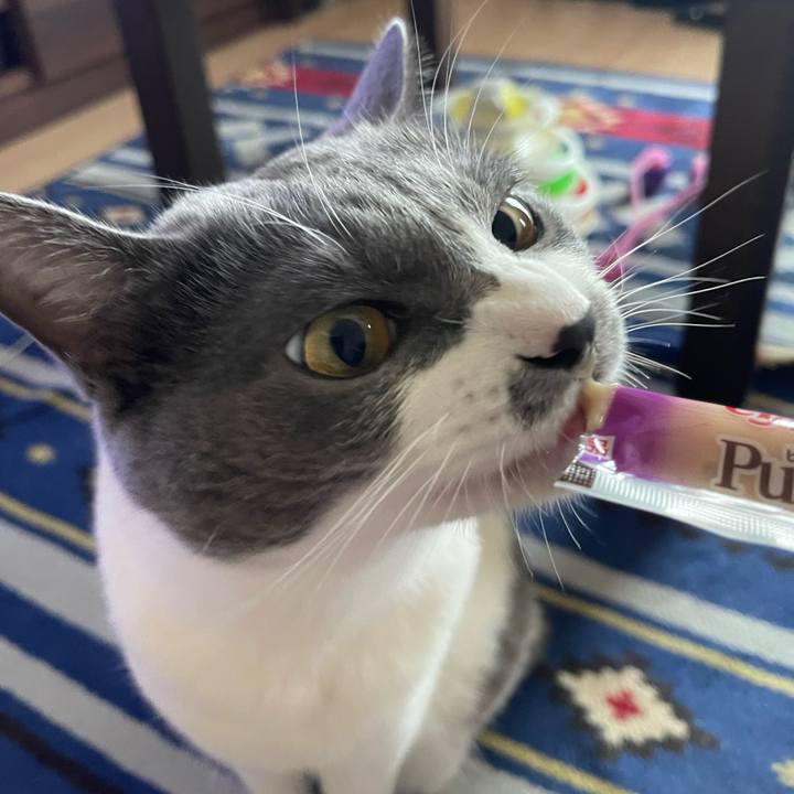 De451e3a 7534 4301 81d7 0638bf9194a6 1659339385205