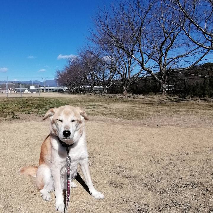 De455dc1 8253 4818 ba8b e817e46e759b 1613618344867