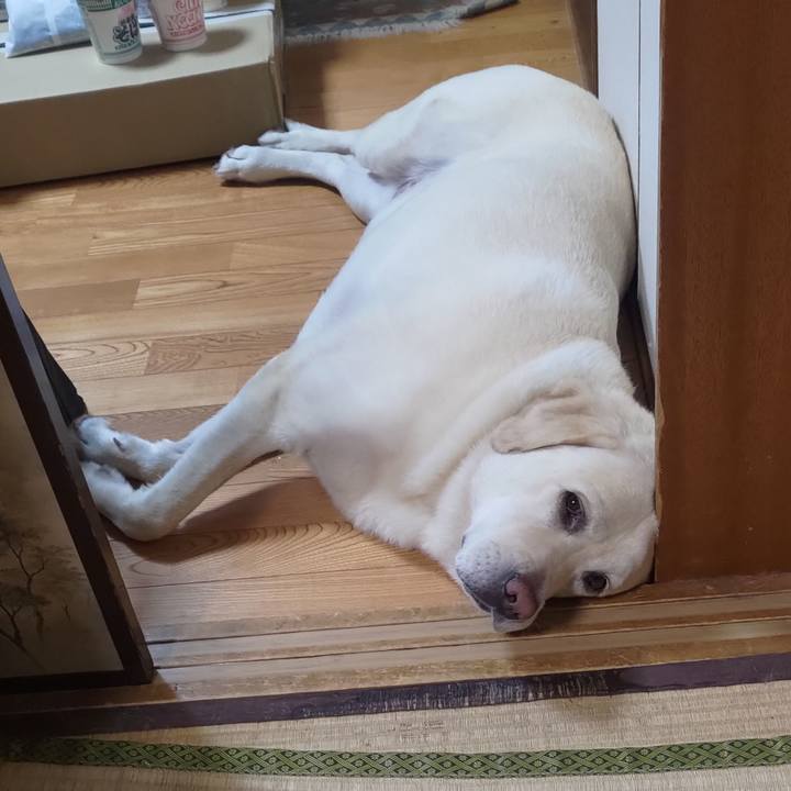 De456c0f fe2c 42c6 9337 65ac8d280752 1659074396174