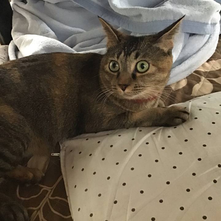 De45a87d 6b65 472b a06b e4b7d4276664 1633845487171