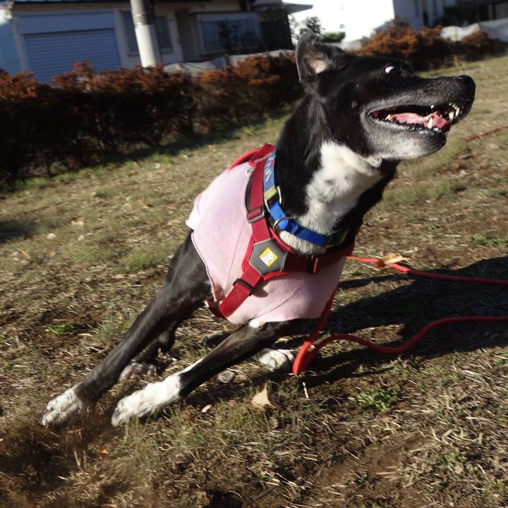 De45c60e 03e6 4c50 8776 40bf0ba4d1c2 1676860293026