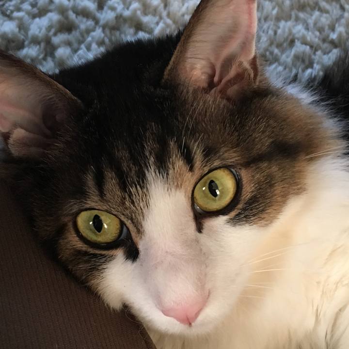 De45f2c5 19b4 4570 bd91 f47702d70f60 1558143644982