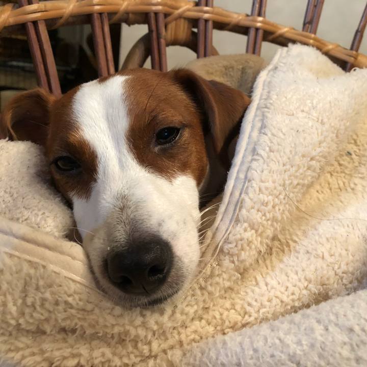 De460649 86d3 472e 800a 61476fdd5dc6 1539166886774