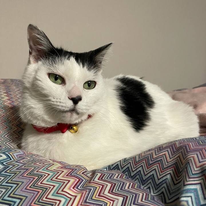 De4609e2 90f4 4069 942e 6ec2a1b78e25 1612451726031