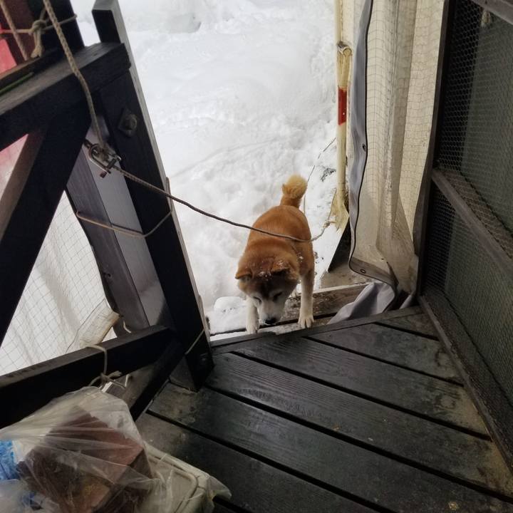 De460fd8 3ad5 4b78 b1e5 9ec7aab57c81 1738712496246