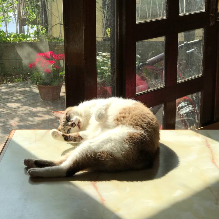 De46570e e9c6 4066 85a3 ce95131d2bee 1523512766099