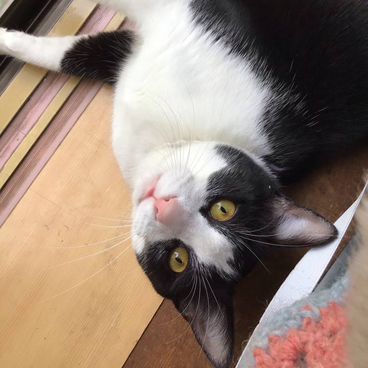 De465860 2acc 4f83 a69f 1200e797b5bd 1655627863963