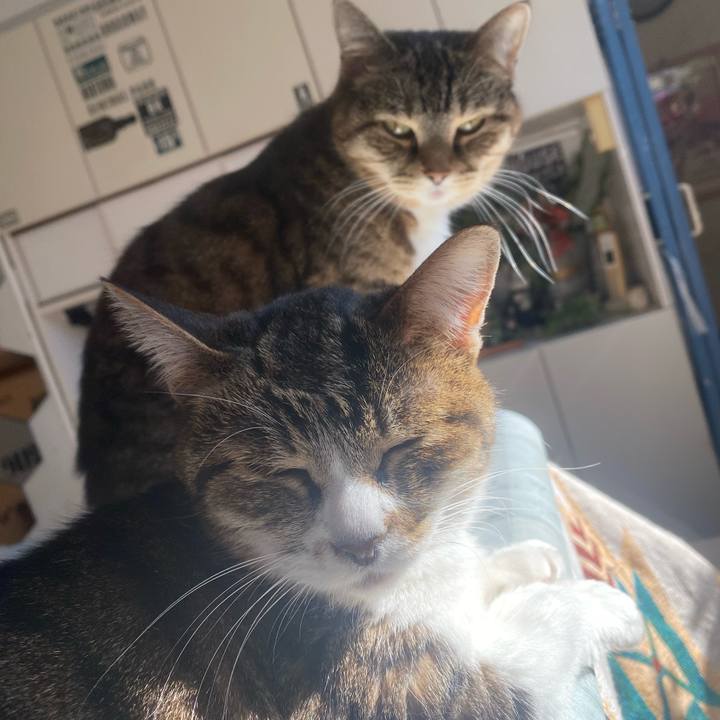 De468a20 7955 4c13 8373 0388f2ee390c 1737861142557