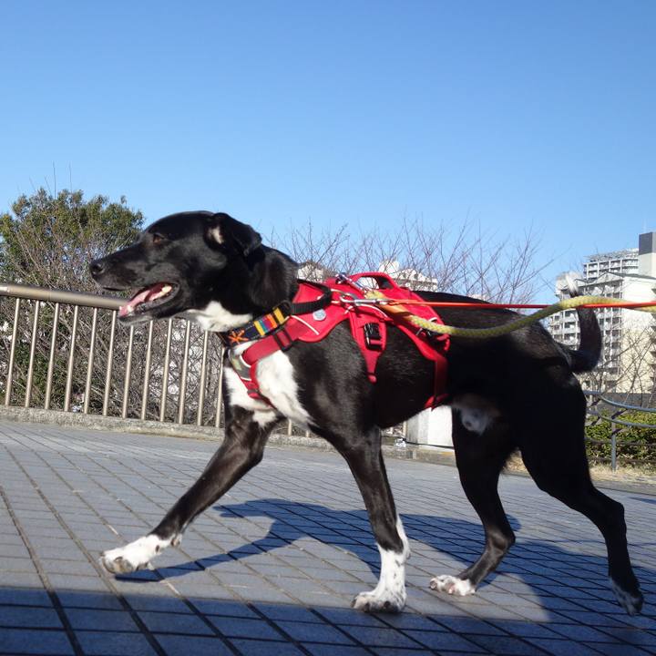 De475e34 a010 4aee 8b39 b444e9a62aae 1583485223843