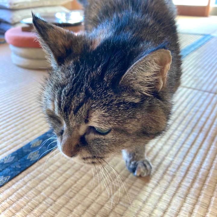 De476b6b 784c 4c2a 9e31 c2be4098300e 1648866139415