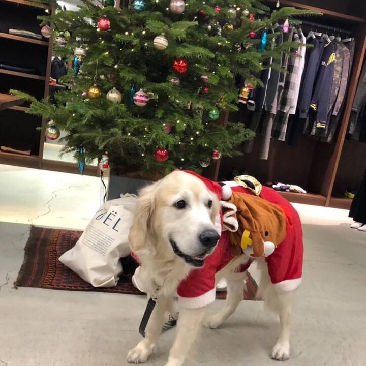 De479aab 8ab3 487e 8e20 66ca215188fa 1545654059940