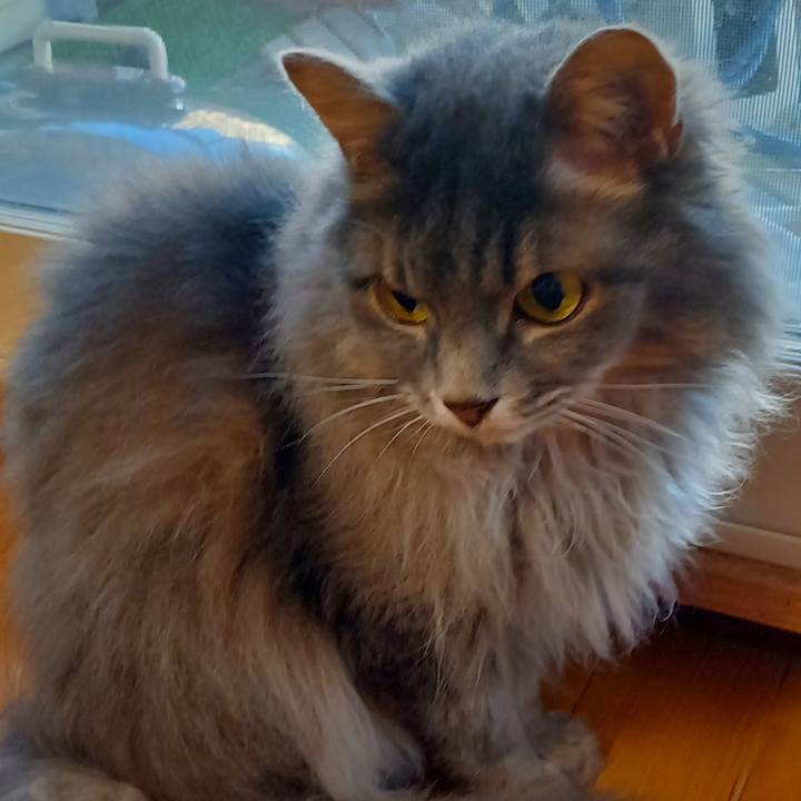 De47b13f 18b1 43bf ae2d e297632e7390 1629275840768