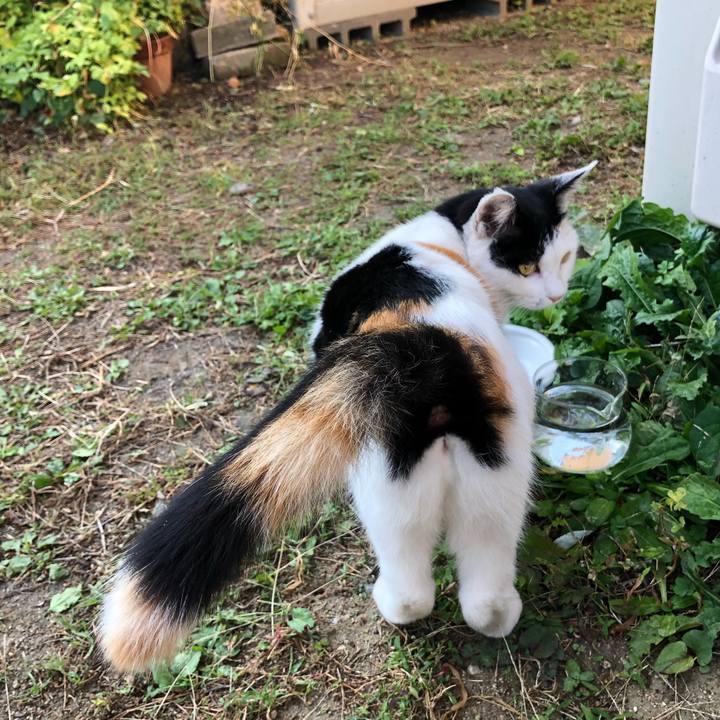 De47b7b9 9e79 49dd a65d 768719ce1f91 1602977582311