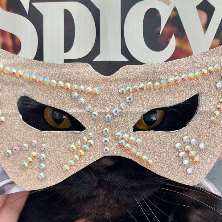 De481fd4 ba3a 4e94 96a5 bd0f0dba5859 1745883861464