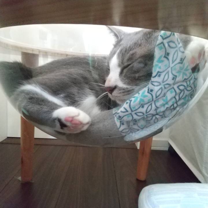 De48288c 3efa 47bd ba5f 8bf6e203d9c2 1633828557000