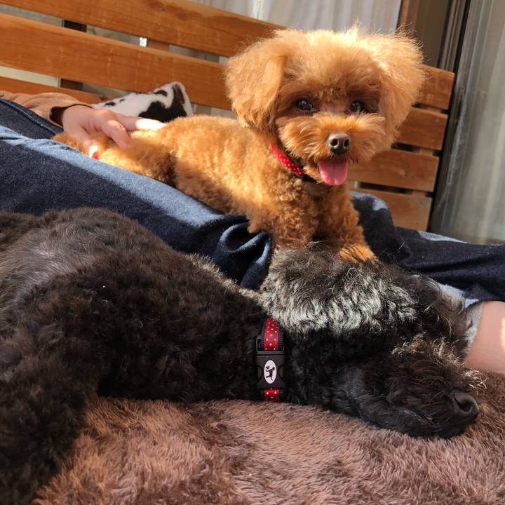 De48e5b5 aa0d 47b2 96ba 11e826fb1c55 1606106425177