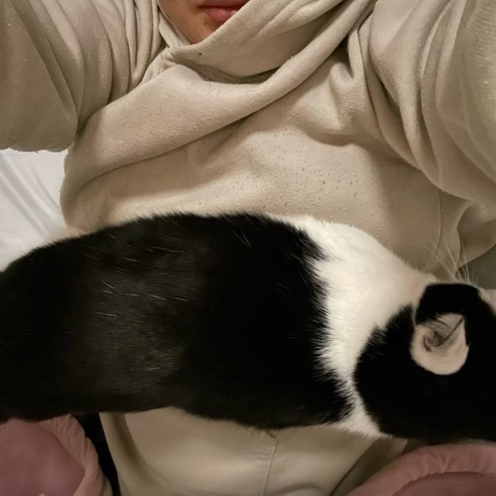 De491244 d84f 4b0a 9913 04be9ecea645 1674330773355