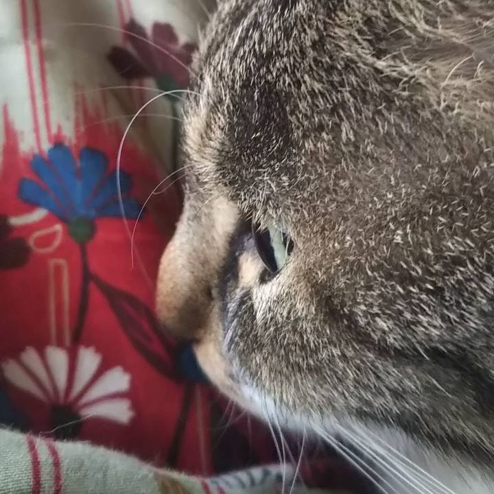 De4912ed f85f 4cc6 a4c7 79c3794d6c40 1618535343860