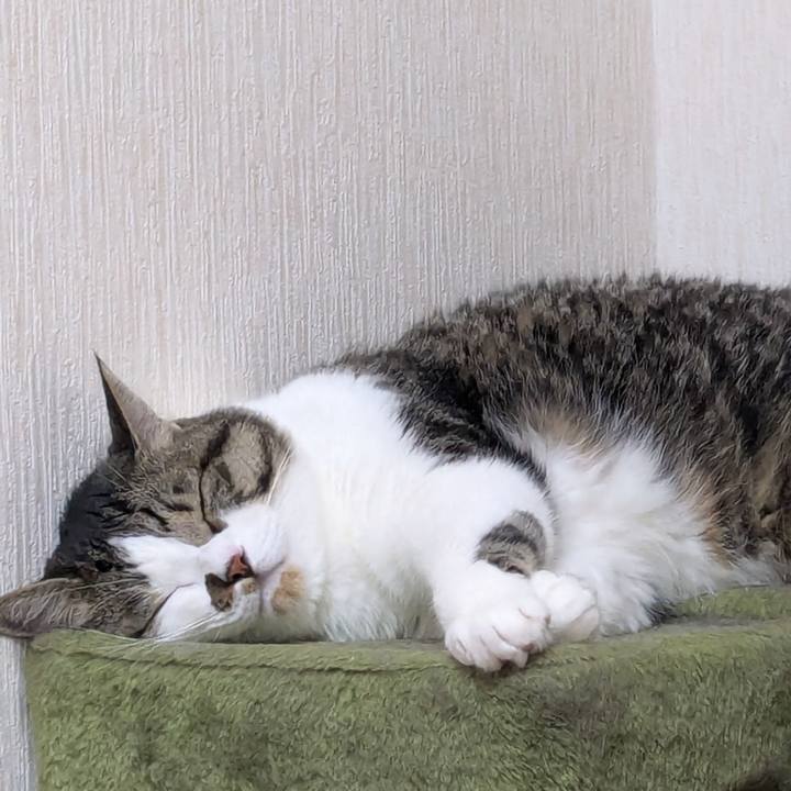 De491a1a eb6d 44fd be11 c1b632c7184a 1753009001221