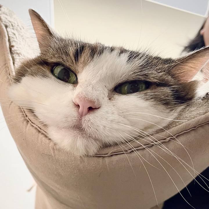 De4945e0 d4c9 40f4 9237 e29a73131ccd 1635665607010