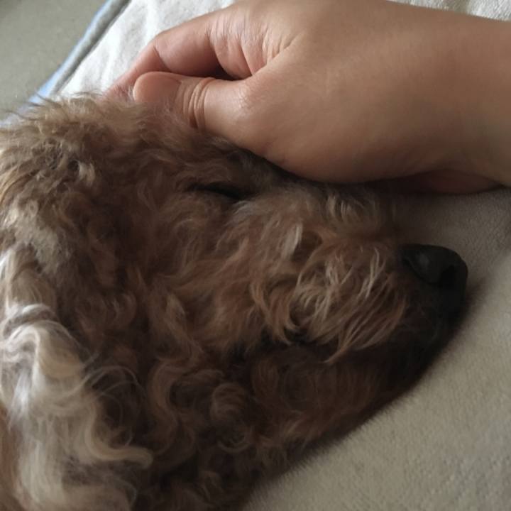 De496292 8b73 429b 9394 be3a2159211e 1530485504486