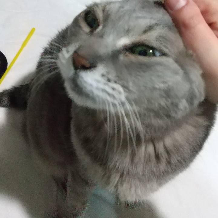 De4978fd 14ac 4966 9264 654bf0a134c2 1671799891036