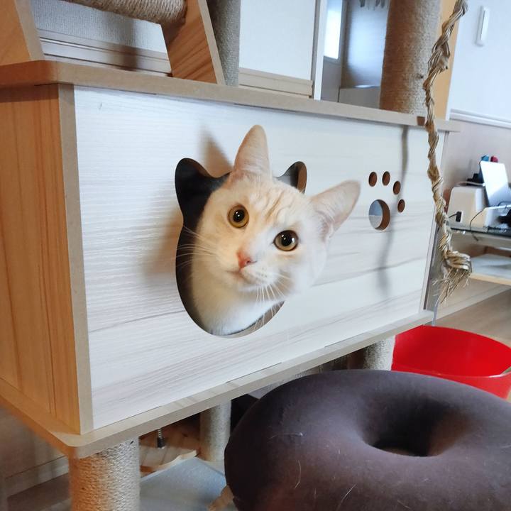 De49ae68 5d89 497b 8f2d 2d06e7d31a44 1672104966482