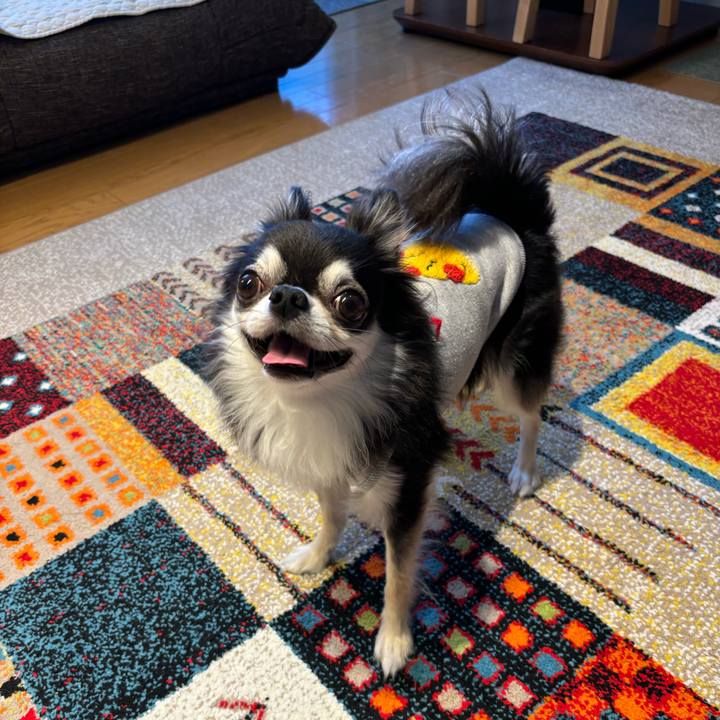 De49c583 755e 42d8 8587 933e8e156759 1731169418136