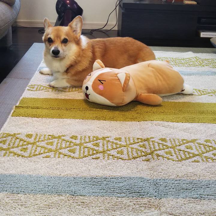 De49d3f4 8299 4b25 b808 2ffc82afd03e 1635042891090