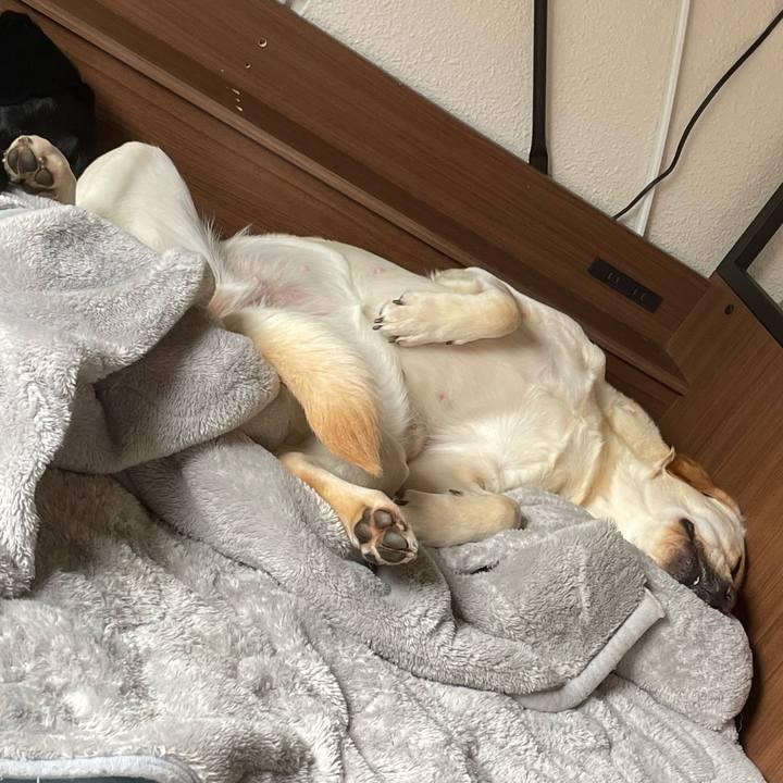 De49dda0 1e20 44e0 a96d 8950165a99e5 1652068370340