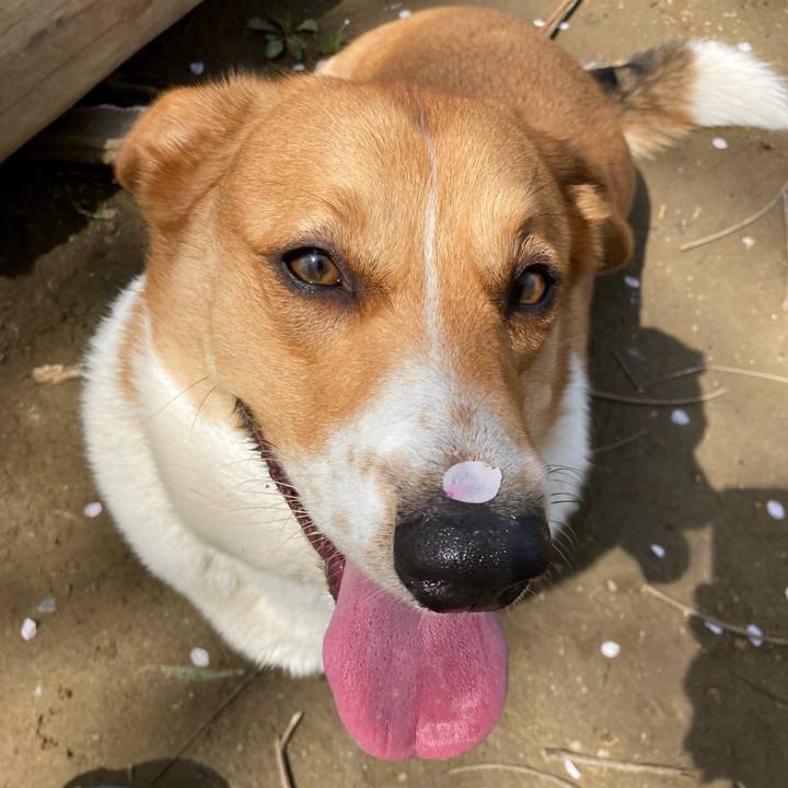 De4a0224 6bf1 4b9b b969 581f075fe749 1649293417324