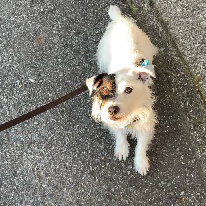 De4a3b91 ce6d 4263 b10d f8a7c1fd4a77 1656408640130