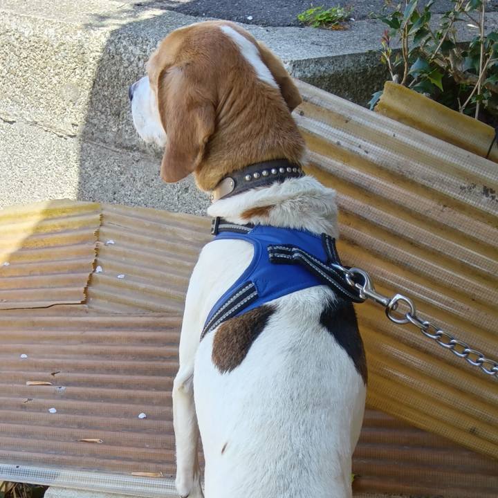 De4a487d d7c3 4ef0 ac1c ba646ad2072c 1745995291174