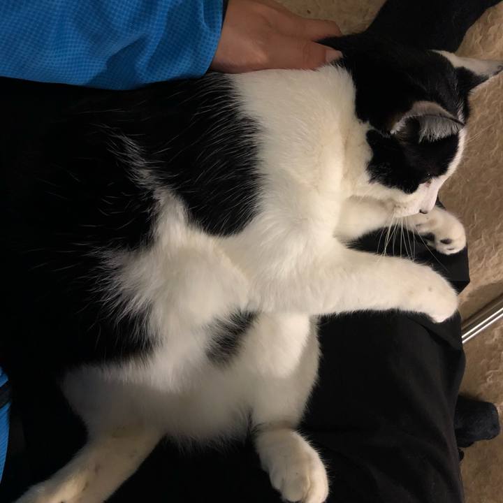 De4a5170 1f70 41fc 9fd7 8b0a3671786a 1547308039930