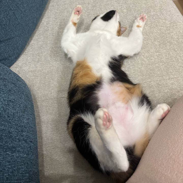 De4a7e8b 26ad 457d 8f80 eb68d1421eac 1767925735424