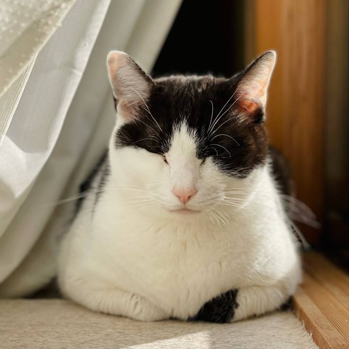 De4a8bfb 4733 443b b03f bf2febcedcb5 1647139288835