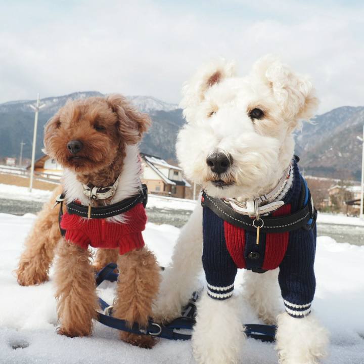 De4abf43 2651 4860 aeaf d4ddaa0ea7a0 1517630041322