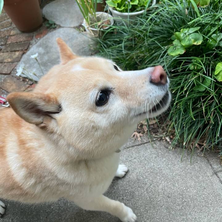 De4ae8d7 1812 4ab4 8414 af78e4cc7906 1744638619989