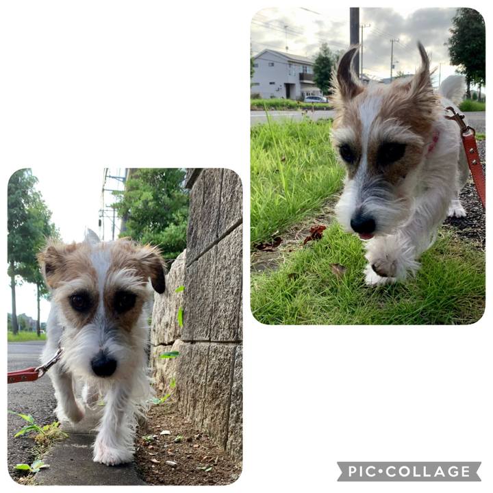 De4b4035 735b 4fc8 a364 2fbeaa3e7601 1628034815877