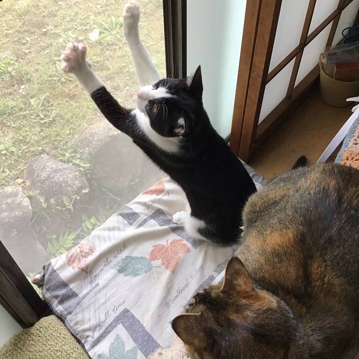 De4b48f7 e12d 4178 8eed 05d7dbfffd33 1634807279108