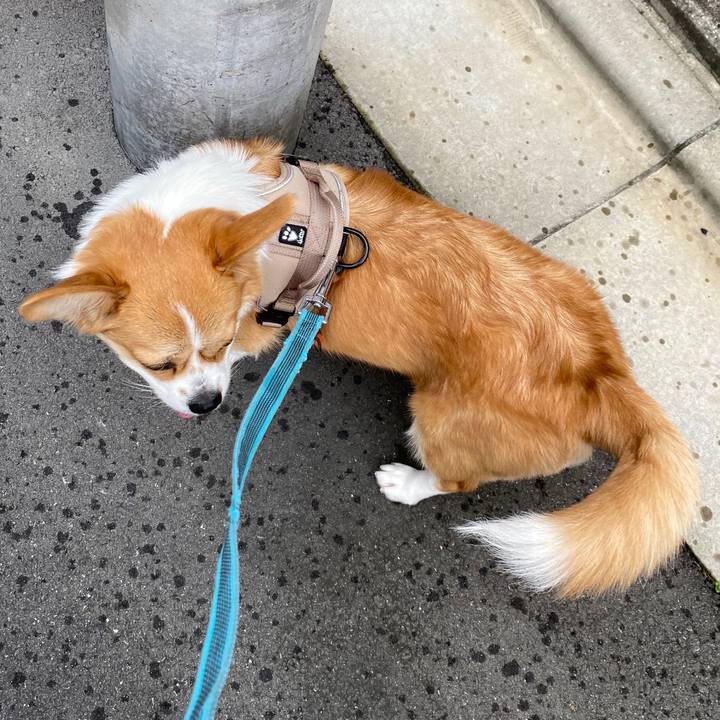 De4b6f70 6ee8 4986 9740 6d9488c5d931 1595918904107