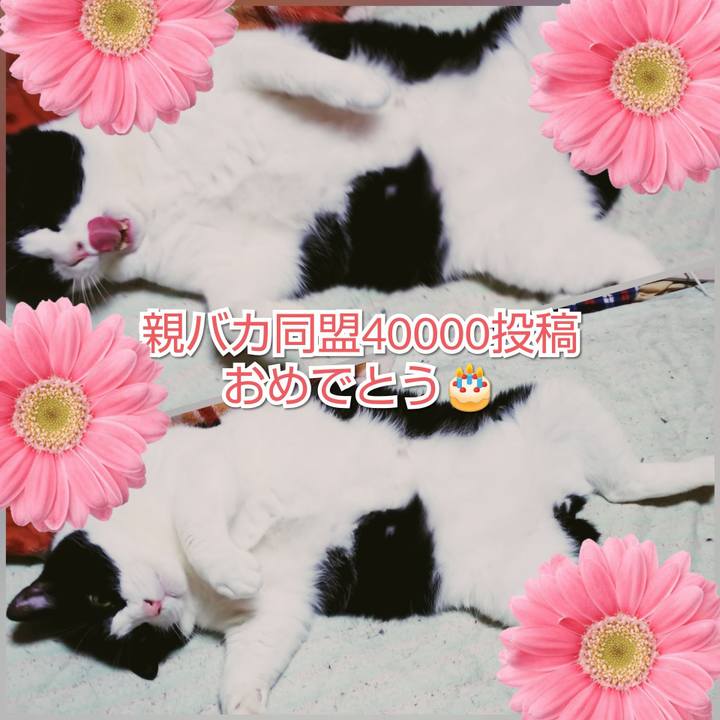 De4b7018 461d 4c96 941b 870ad175ad02 1563791837366